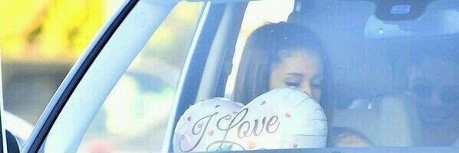 perfectaripics's profile banner image