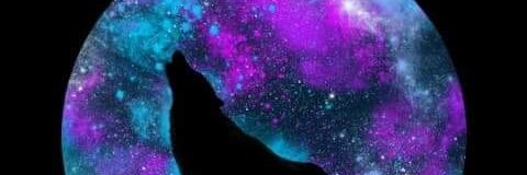 gogs2806's profile banner image