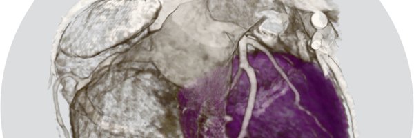 imagingmedsci Profile Banner
