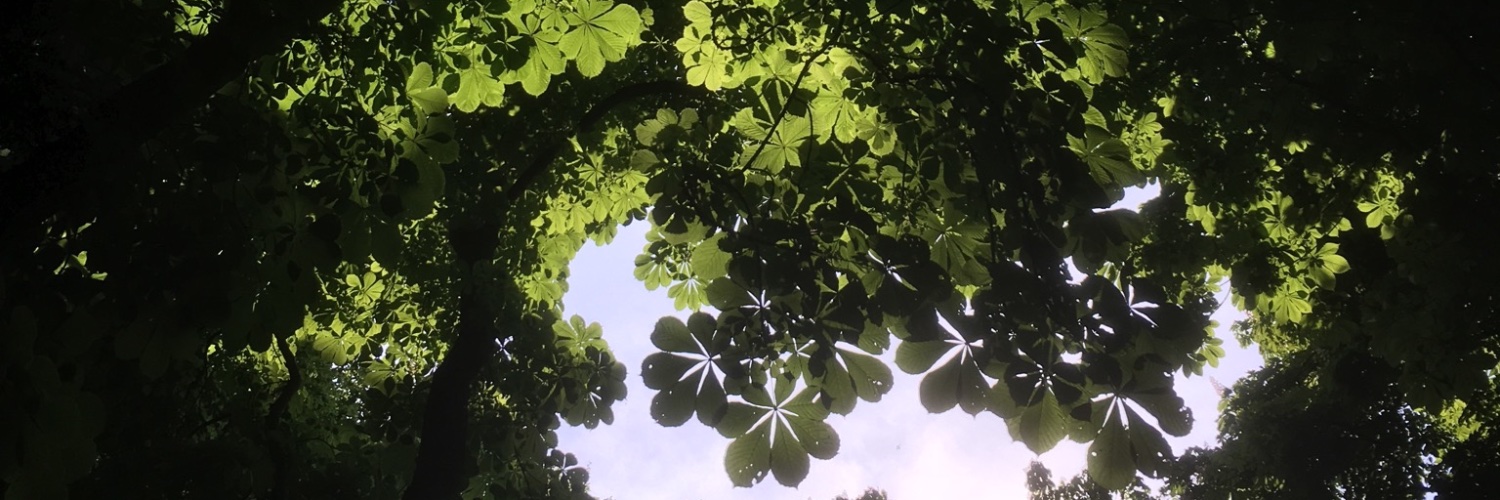rgoene's profile banner image