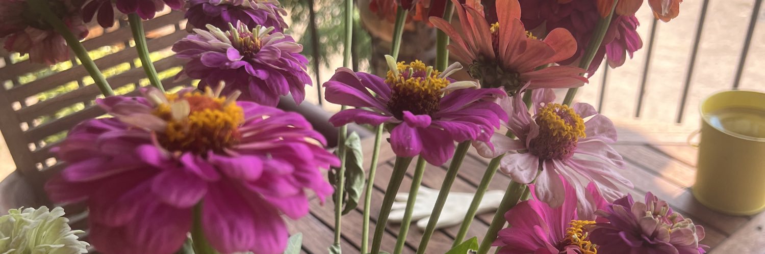 ANNA AYACH ✿ banner