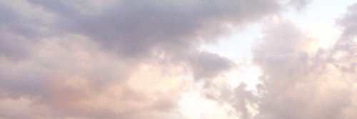 PetsCruz's profile banner image
