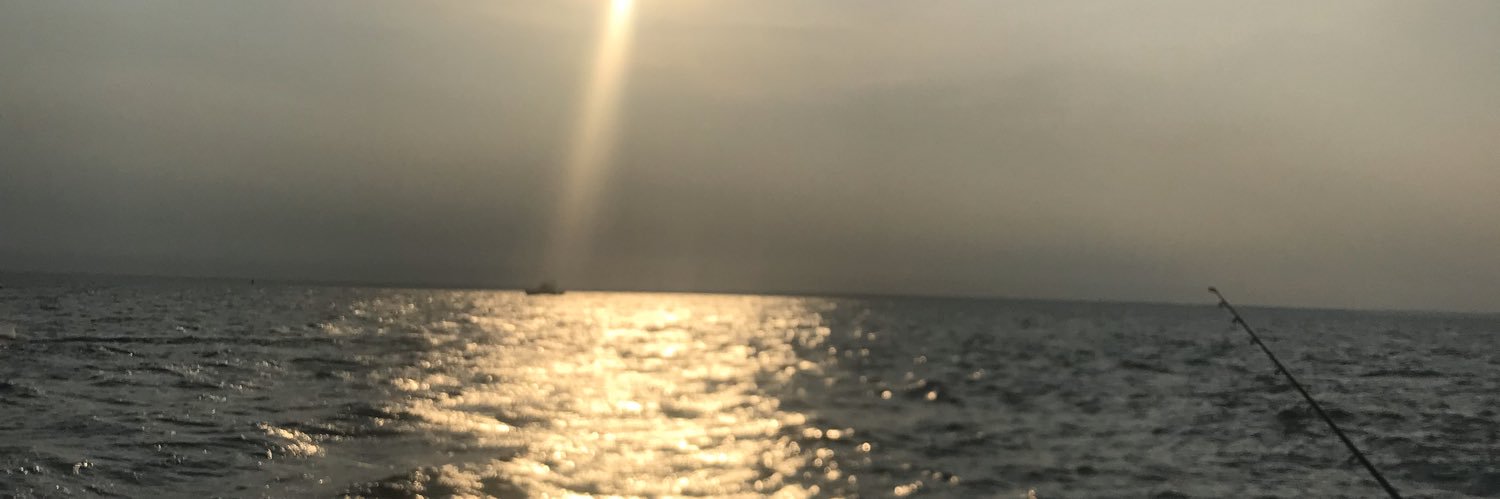 Go4EVA's profile banner image
