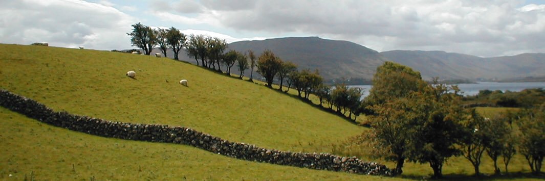 TomMelville's profile banner image