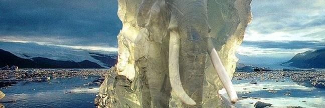 guy banner