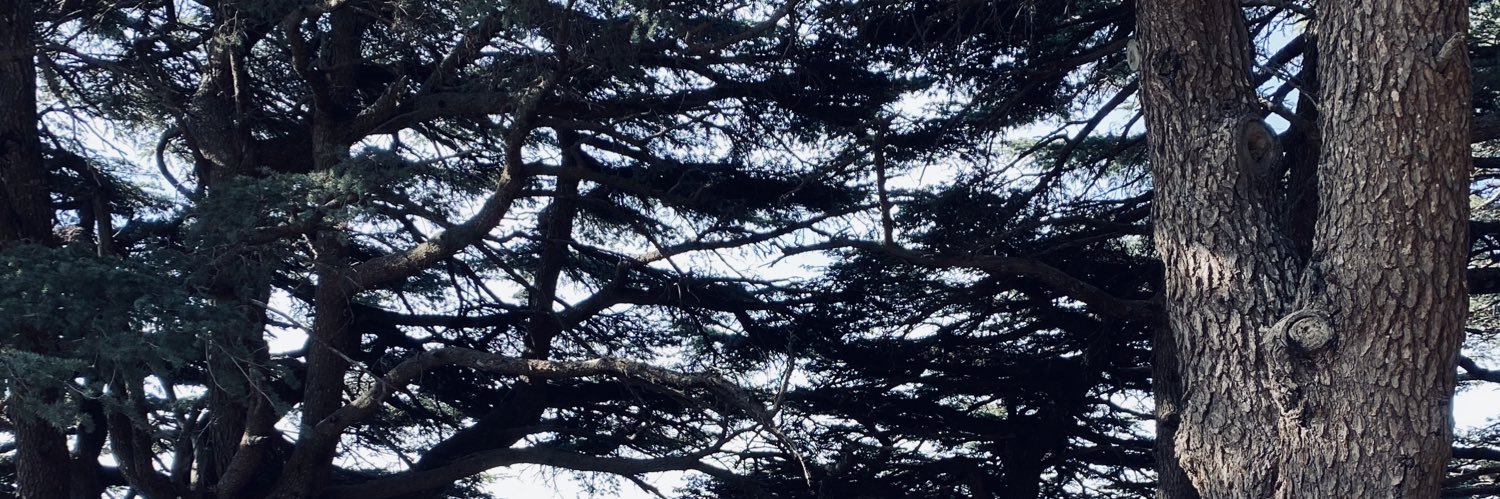 rawazoghbi's profile banner image