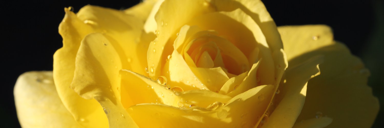 GrnwashBlockade's profile banner image
