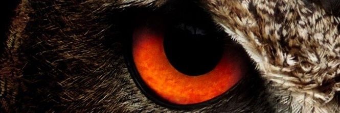 r_aganis's profile banner image