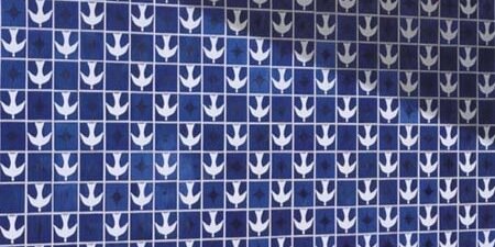 janainascesar's profile banner image