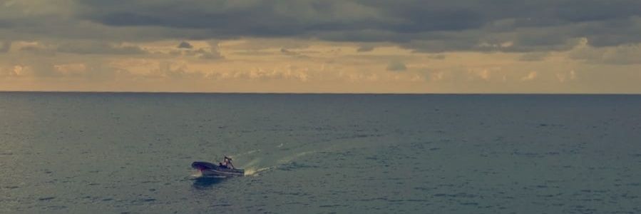 Basma_Elsamk's profile banner image