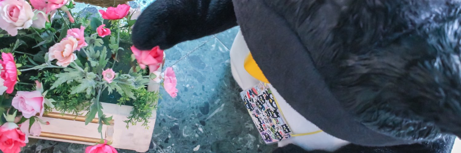 Apuko_puro1207's profile banner image