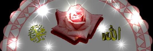 fatmaa992's profile banner image