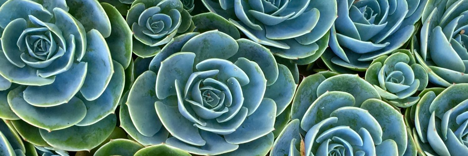ro_fuentes__'s profile banner image