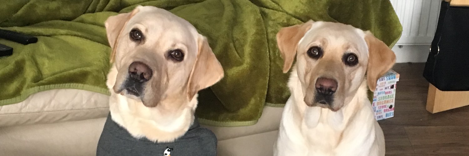 Suzanne Walkingshaw banner