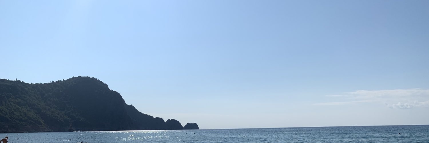 laerkerau's profile banner image