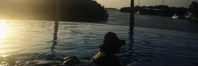 nsaladent's profile banner image