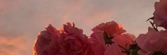 betlsll's profile banner image