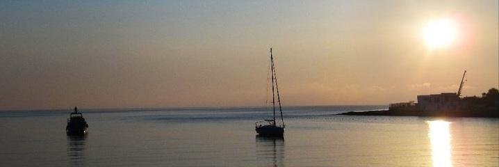 nerea_am's profile banner image