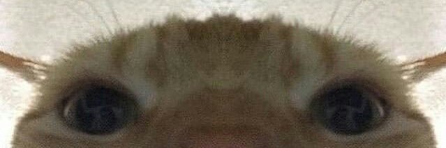moaobor's profile banner image