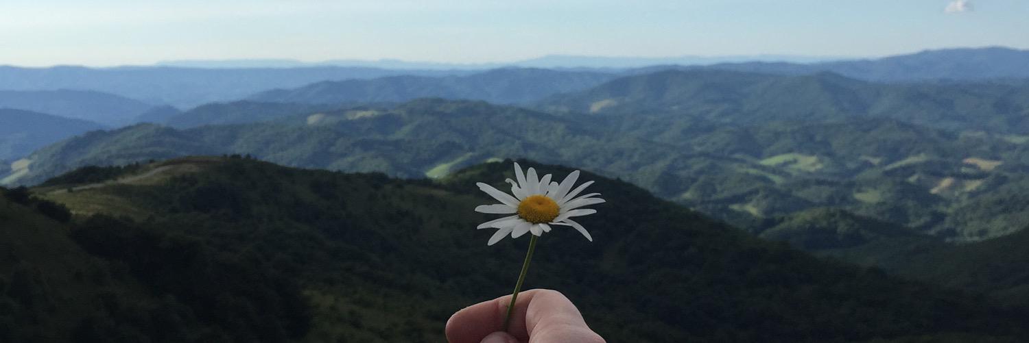 haleyy_jay's profile banner image