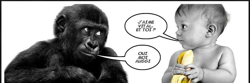 vitalp's profile banner image