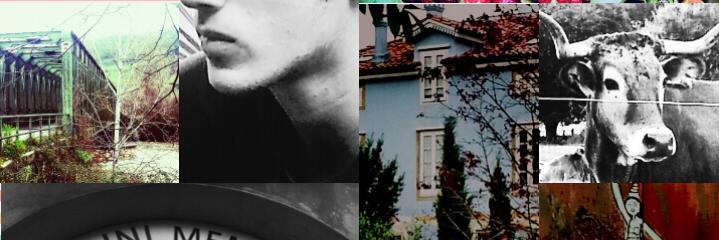 Covadonga Fernández banner