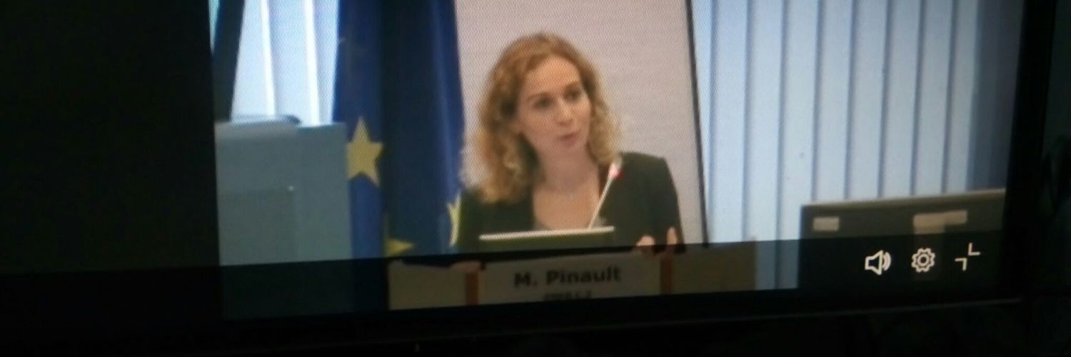 Margot Pinault banner