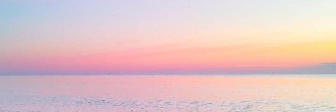 Charlie 🦋🖤 banner