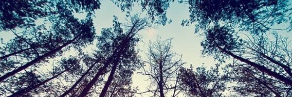PrincessHaley7's profile banner image