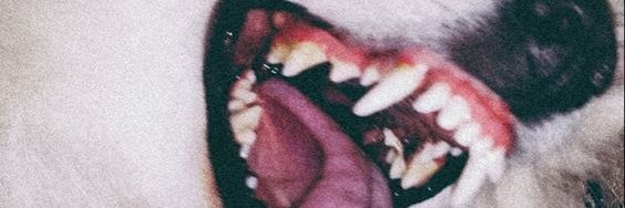 Kaiyote_'s profile banner image