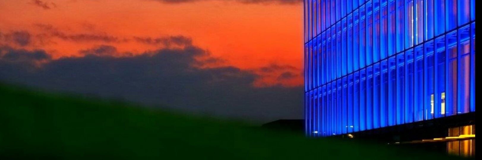 Massimiliano Guzzini banner