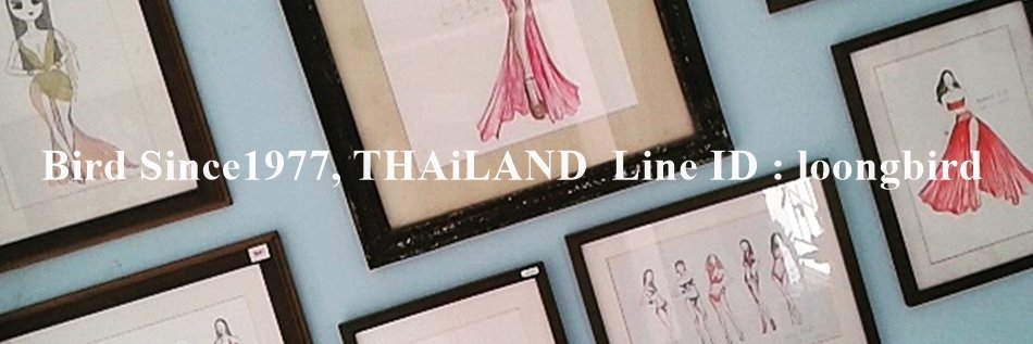 LoongBird's profile banner image