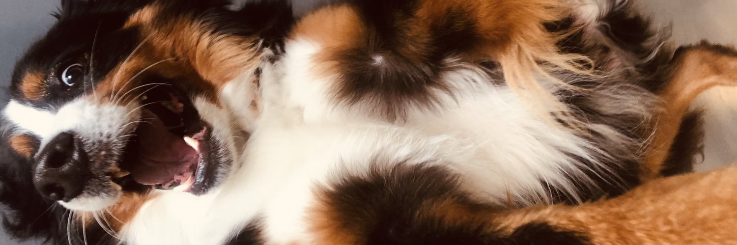 Alex_Bigelow's profile banner image