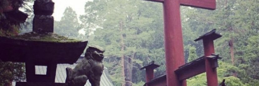 FeralFM's profile banner image