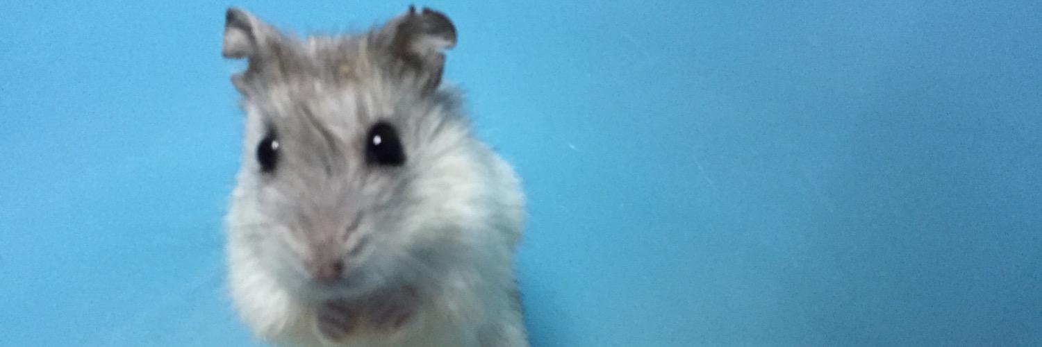 dgncb's profile banner image
