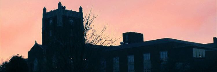 TheWizardTho's profile banner image