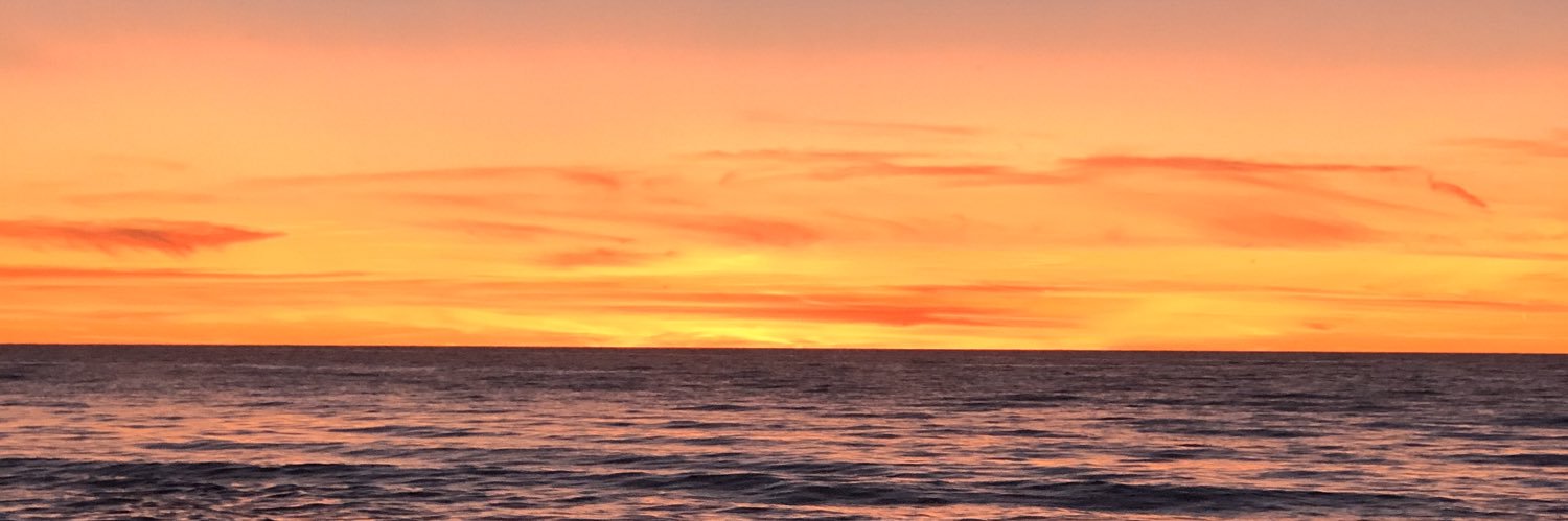 Elizabeth Howe banner