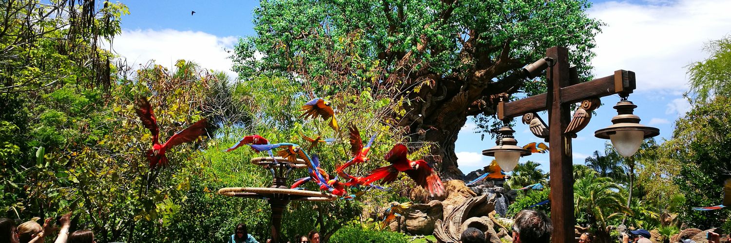 Rebecca Stanton banner