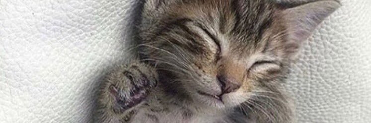 danyharissi's profile banner image