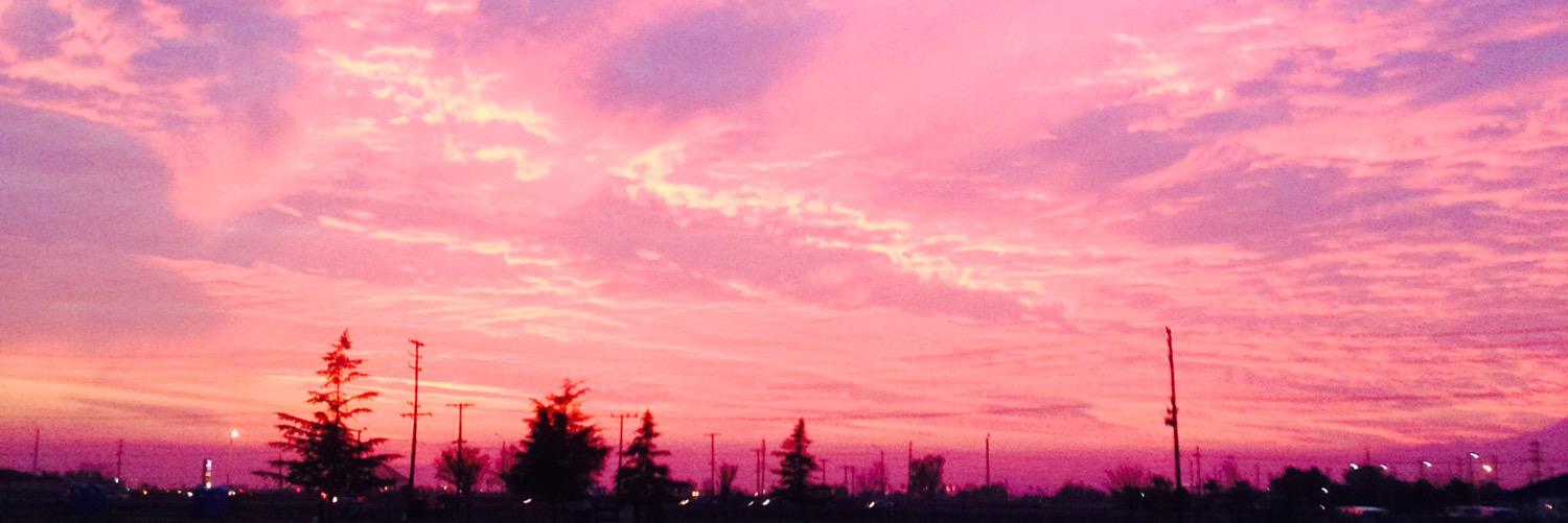 AcountBackup's profile banner image