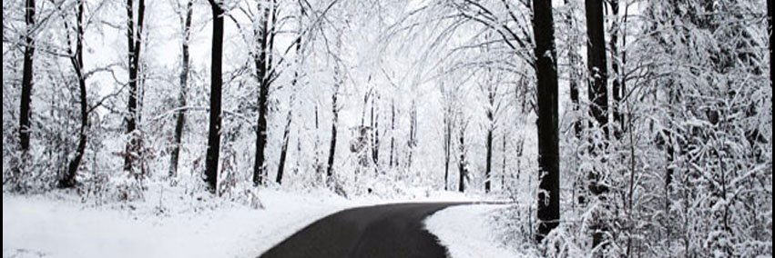 tweetingrobbyn's profile banner image