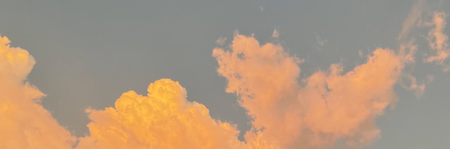 lespapyrus's profile banner image