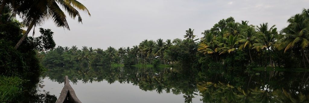 Suneeta Krishnan banner