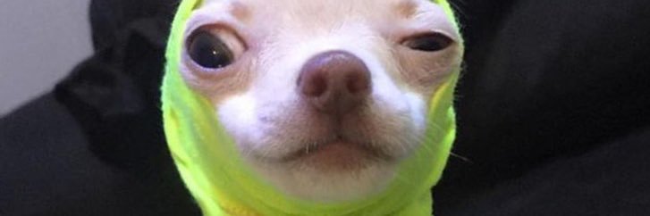 pppskkz's profile banner image