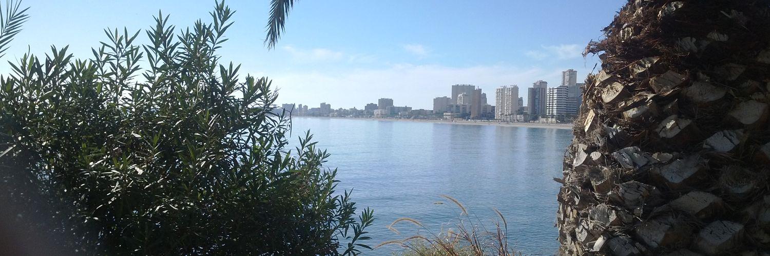 ibi_campello's profile banner image