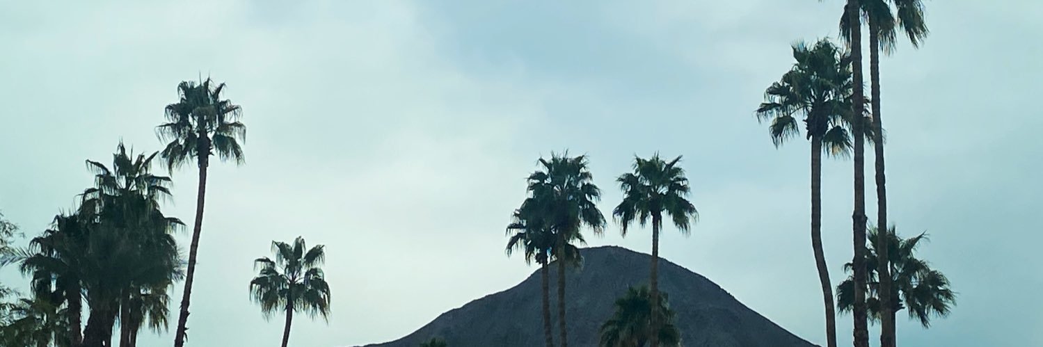 SaraVictoriaR's profile banner image