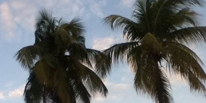 Sweet_Payge's profile banner image