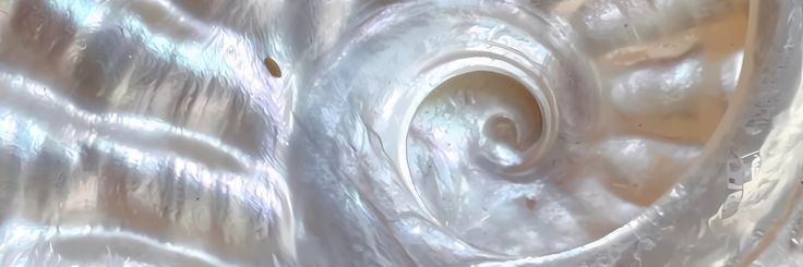 𝕬𝖓𝖉𝖗𝖊𝖆🪩 banner
