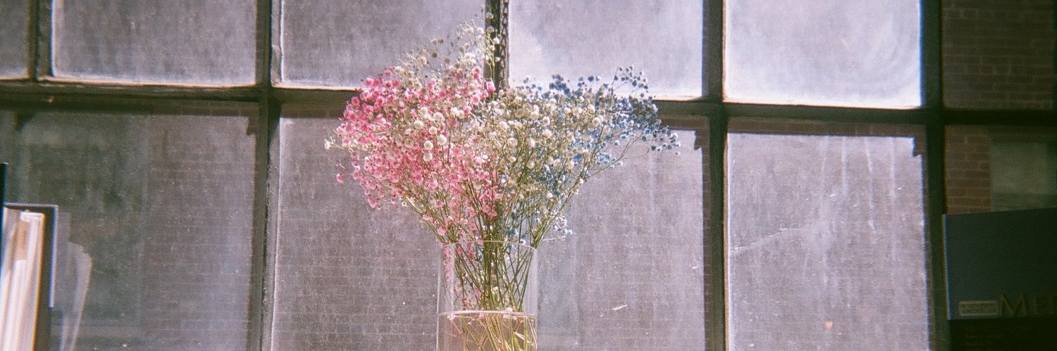hhannahbrooks's profile banner image