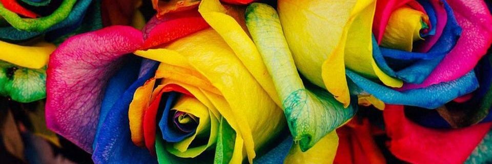 ELSAXA's profile banner image